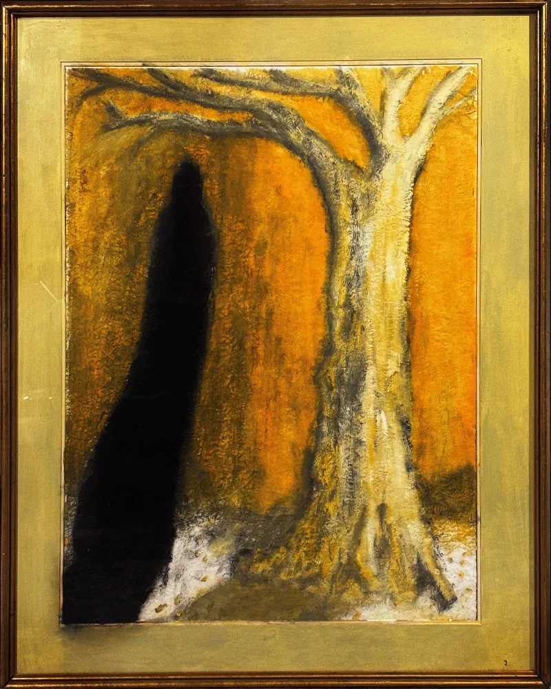 Ouro de Tolo